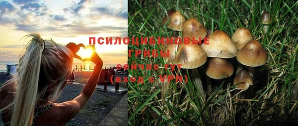 кокаин премиум Белокуриха