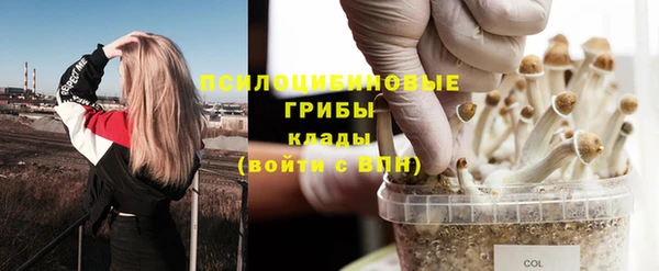 кокаин премиум Белокуриха