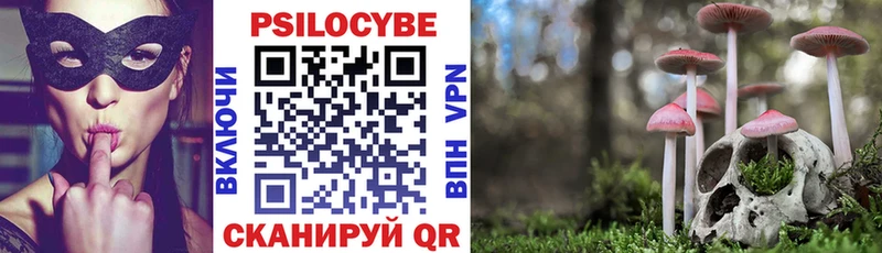 Псилоцибиновые грибы Magic Shrooms  ОМГ ОМГ маркетплейс  Богучар 